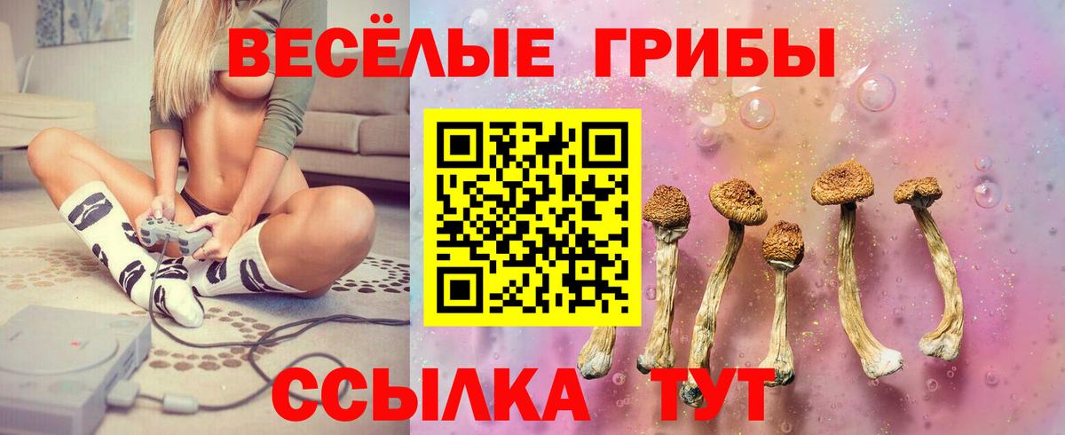 Кизляр  Псилоцибиновые грибы прущие грибы  Вход с VPN 